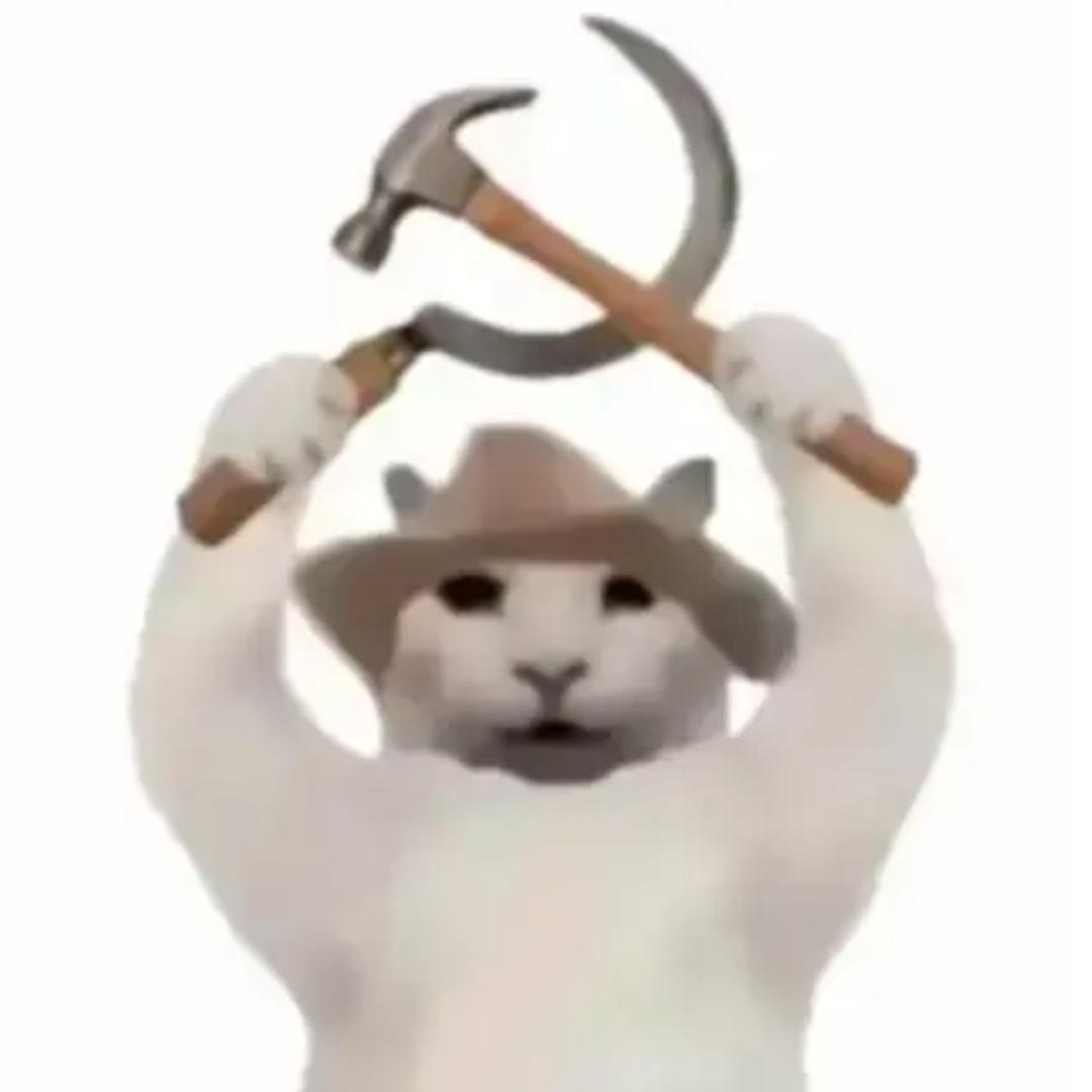 抓蚂蚁的小高手