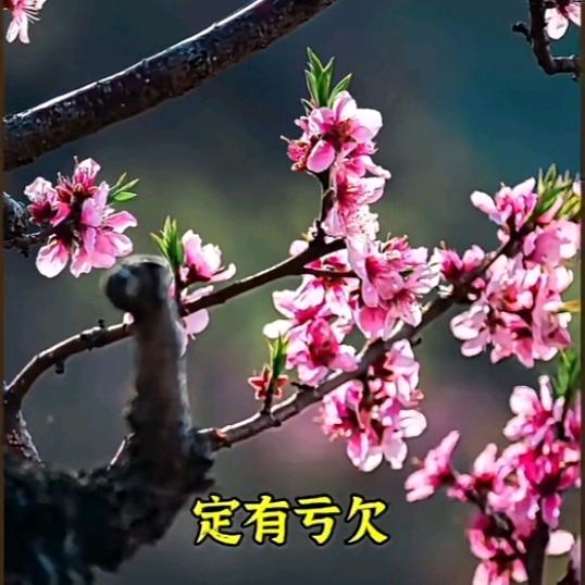 过路中路过