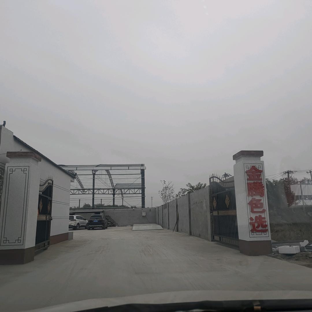 金腾色选（川佛手直销)