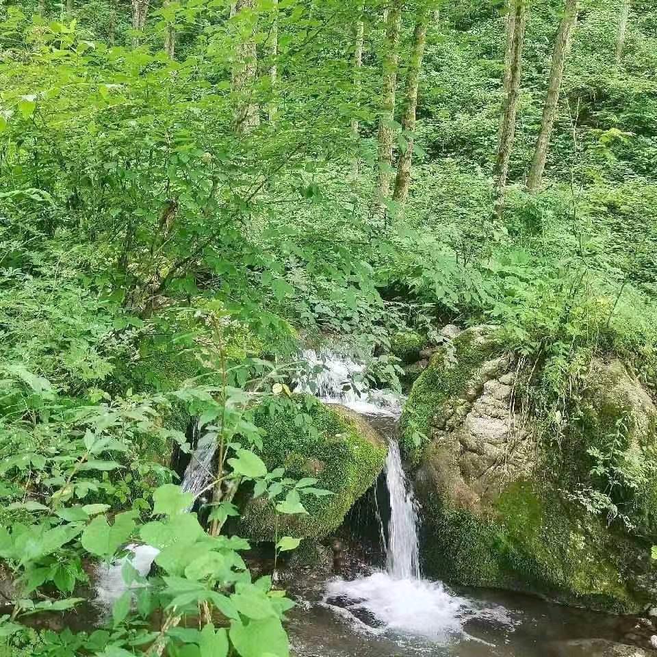 ℳঞ余生 💕 陪你❧到老⁵²⁰👒🌵