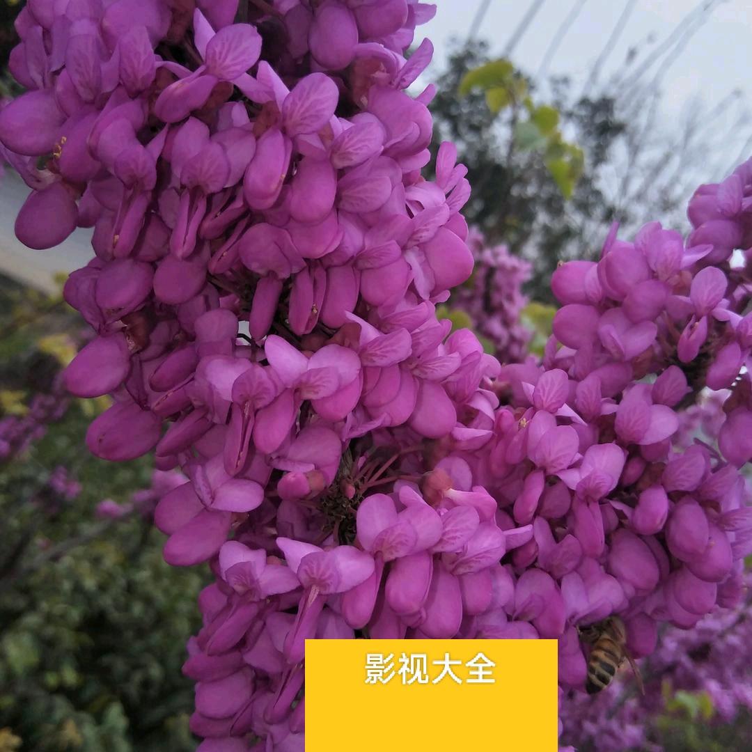 天外有天娱乐团队。