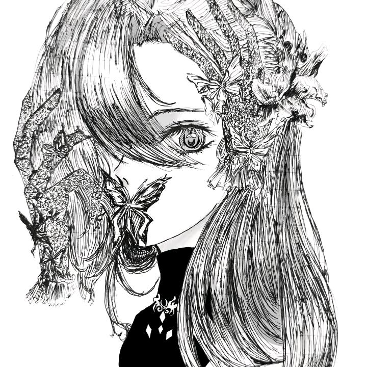 森蝶