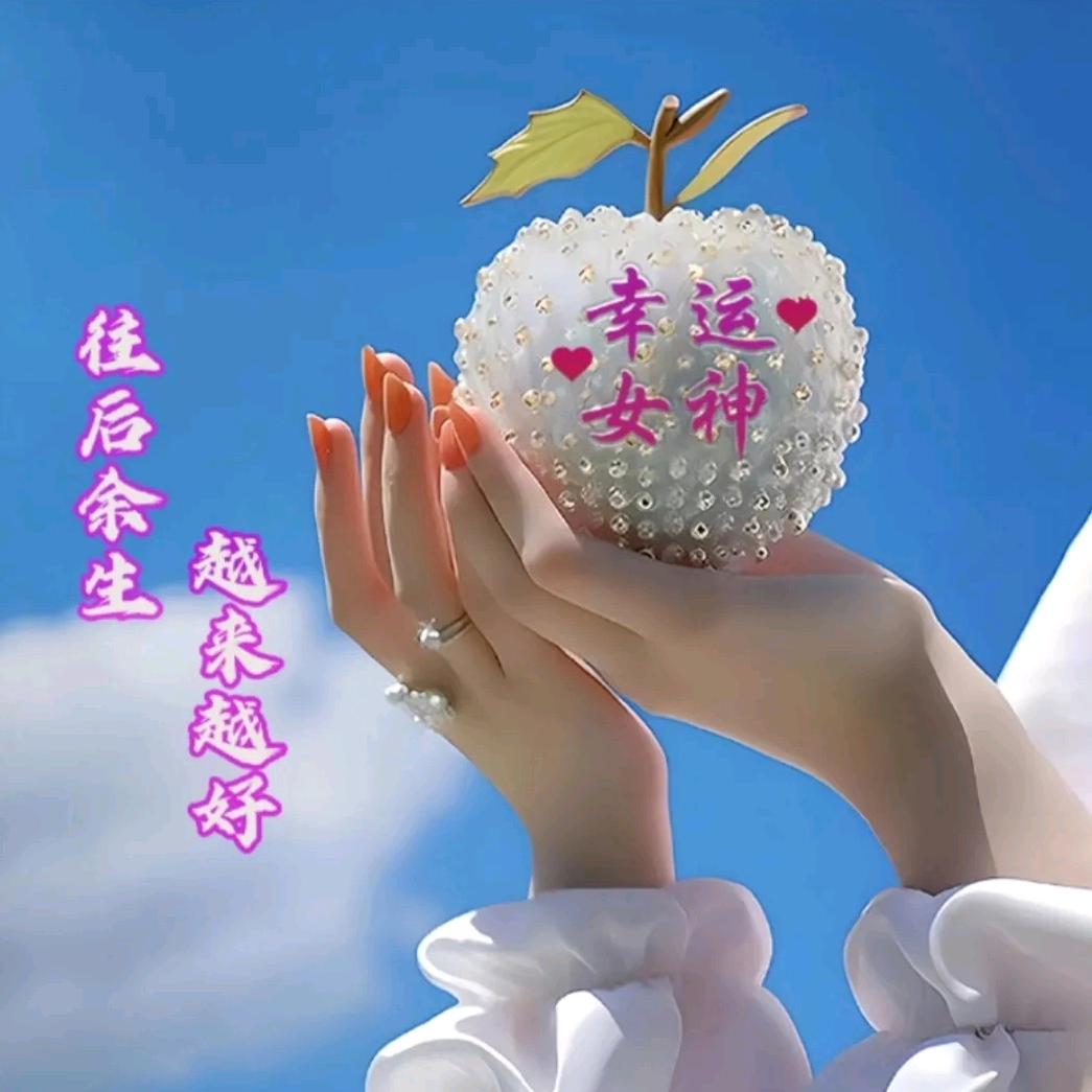 好日子nvlp