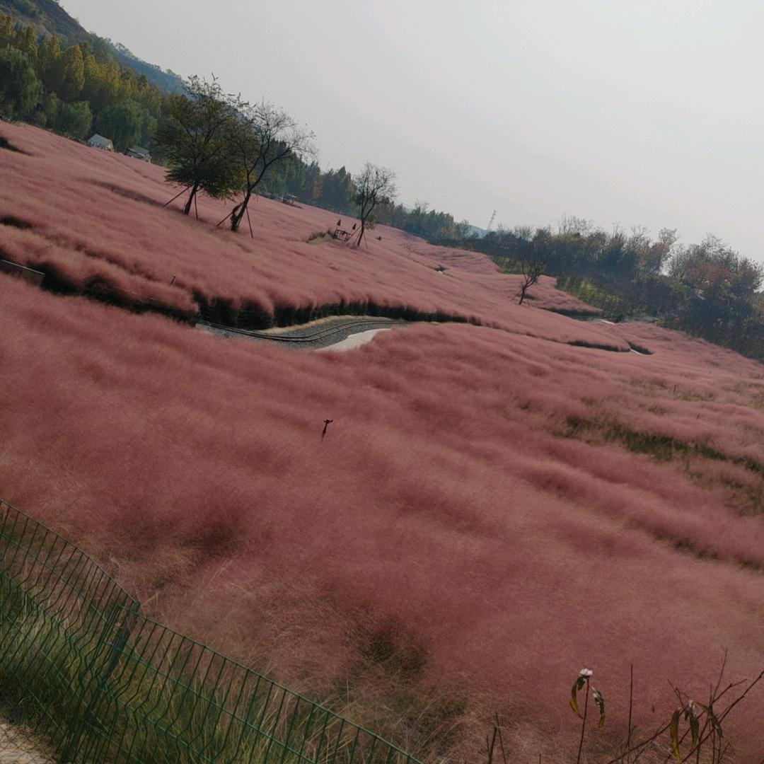 数码回收
