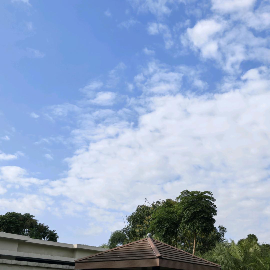 zy龙龙龙龙
