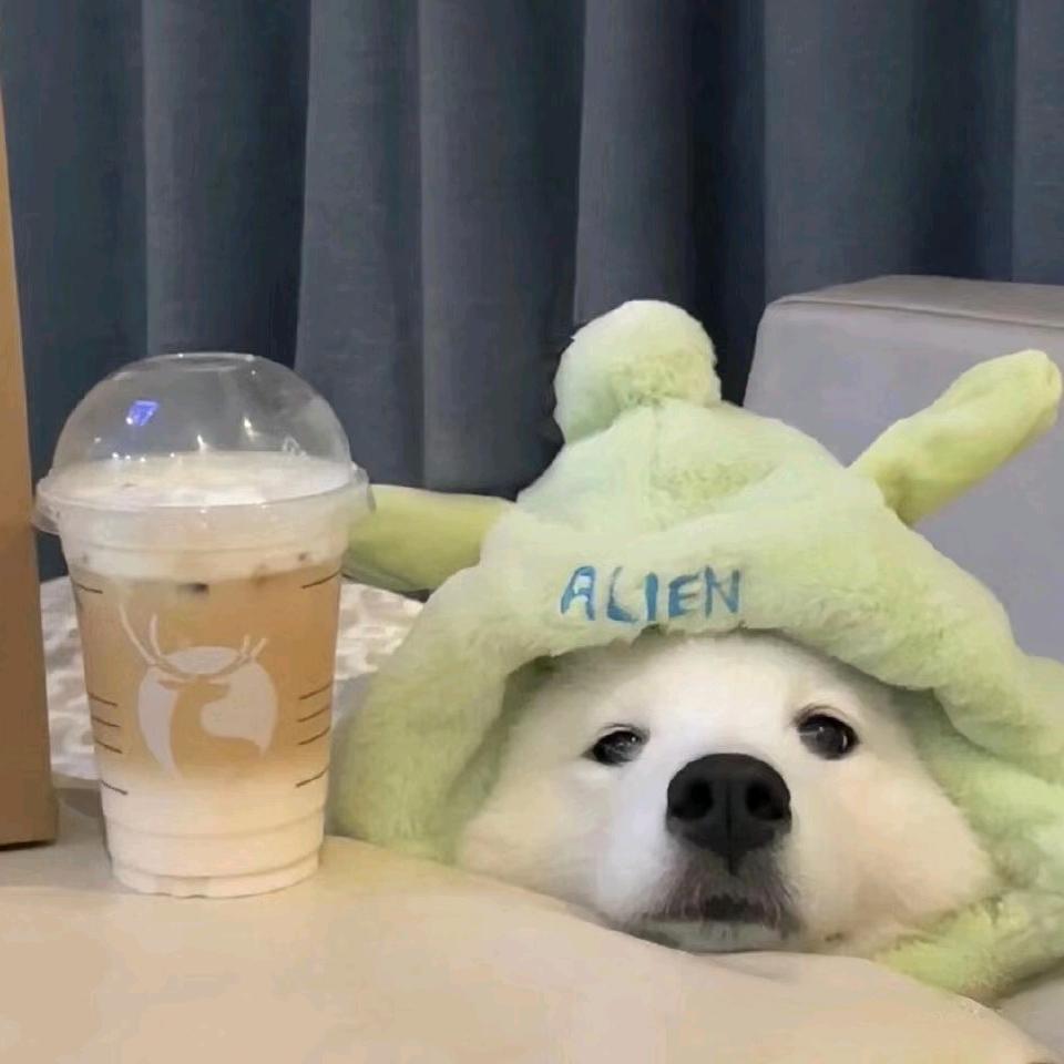 🍀耶耶拿铁