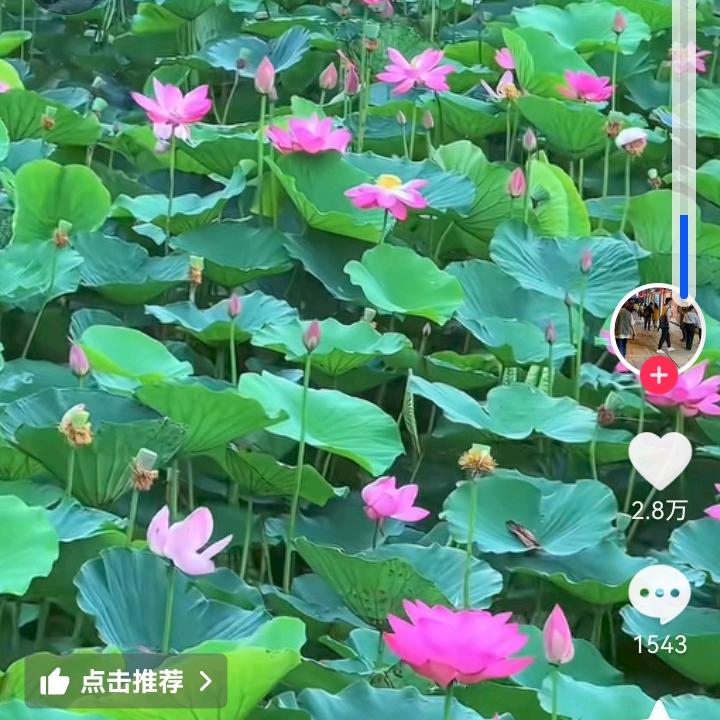 冬姐