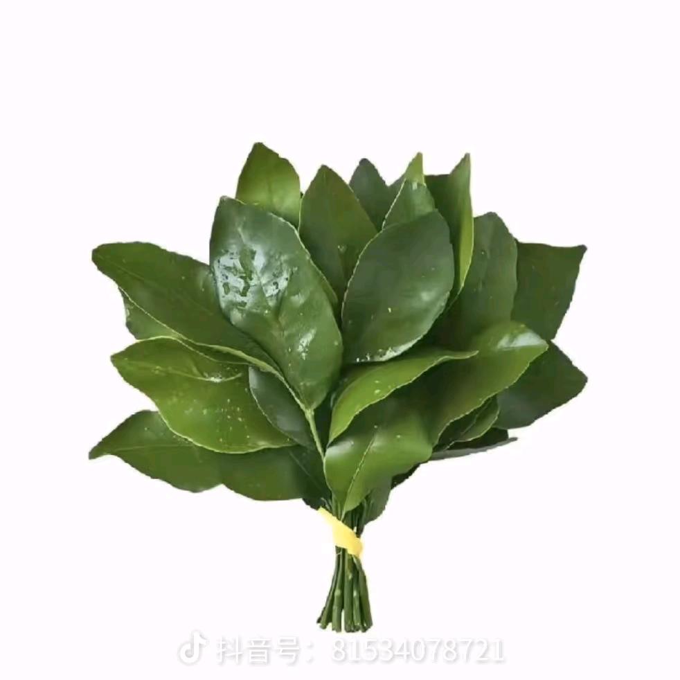 田宇欣欣