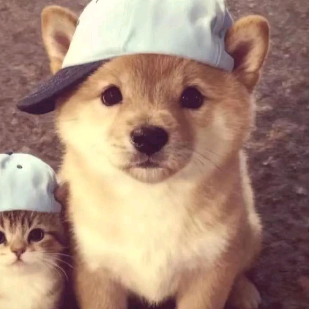 何春秋