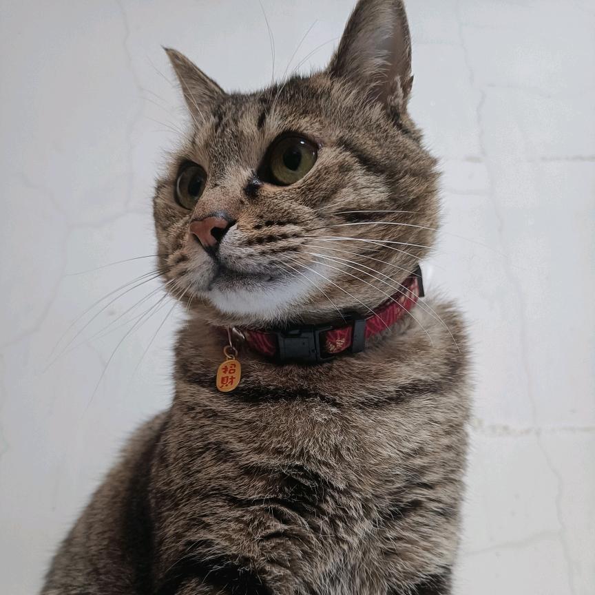 落瑜（见过四维蹭过香水版）