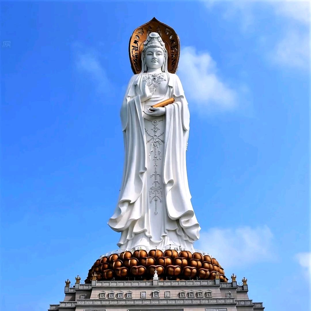 @张家小姐姐💯传慈📿