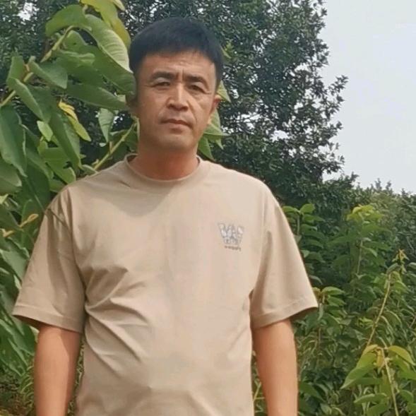 松林大樱桃苗圃
