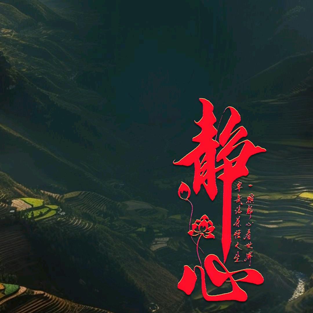 往事清零
