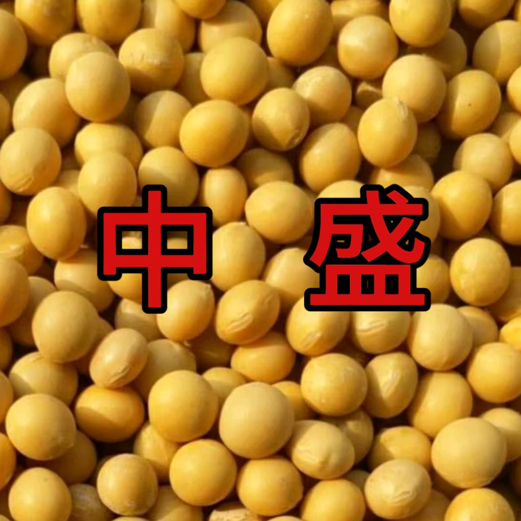 中盛粮食仓储