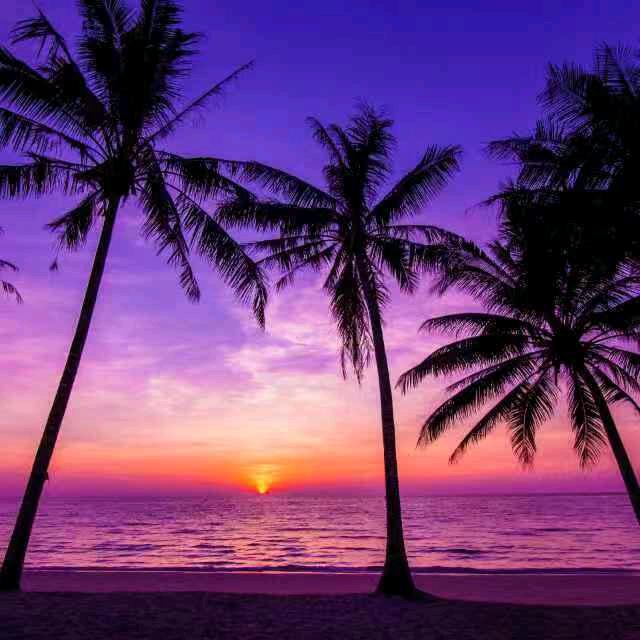 林海