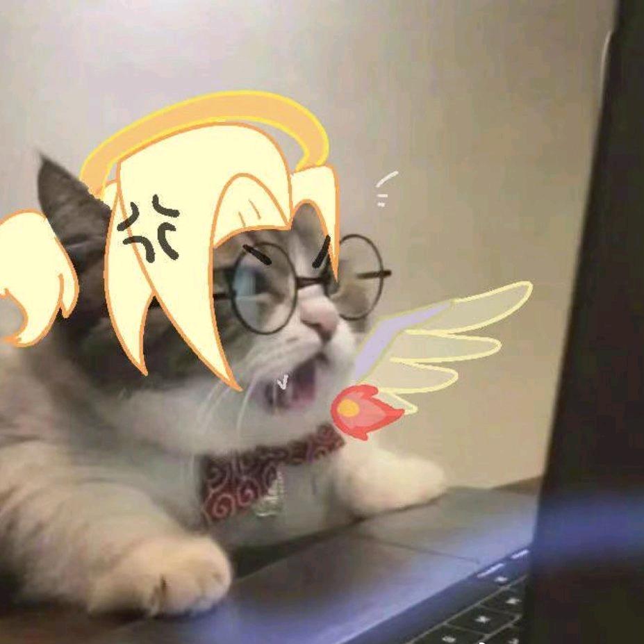 什么什么呀