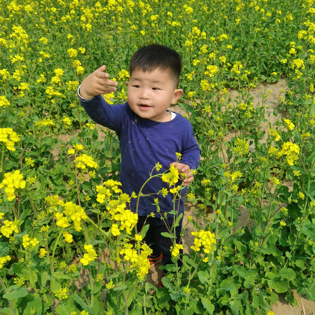安康福乐
