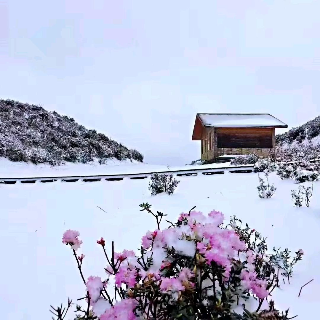 ᰔᩚ᭄贤婷💞ℛ逸致꧔ꦿᩚ࿐