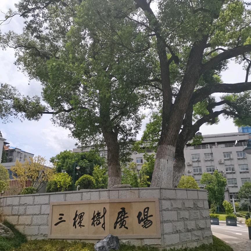 前程似锦