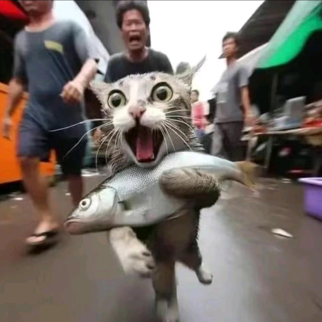 我是逆蝶