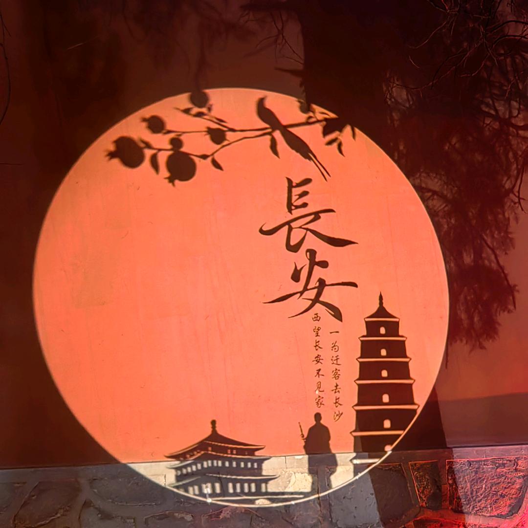 重庆旅行家