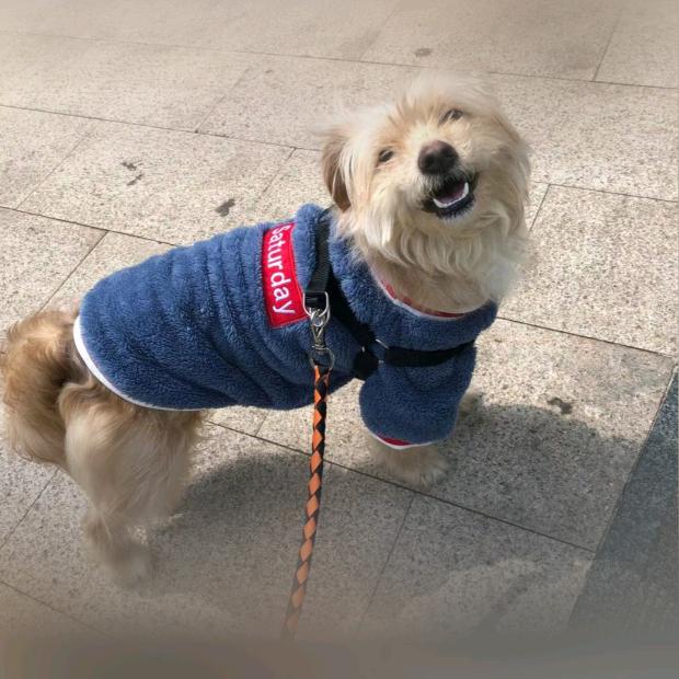 何去何从