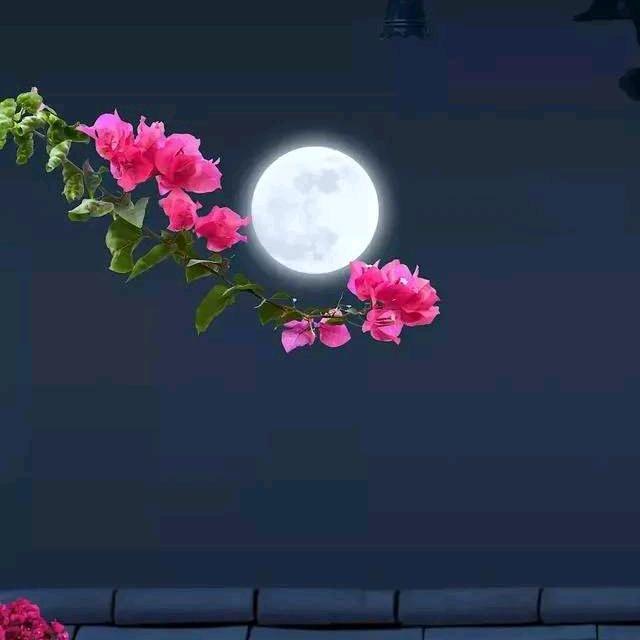 扎西央宗