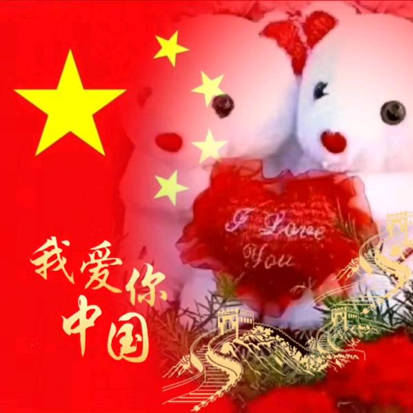 河南省南阳市西峡县小猫猫