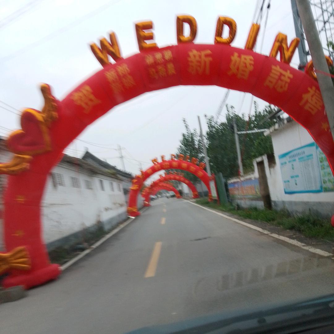 后林奥迪婚车队一钢果