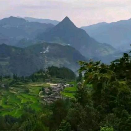 岁月静好