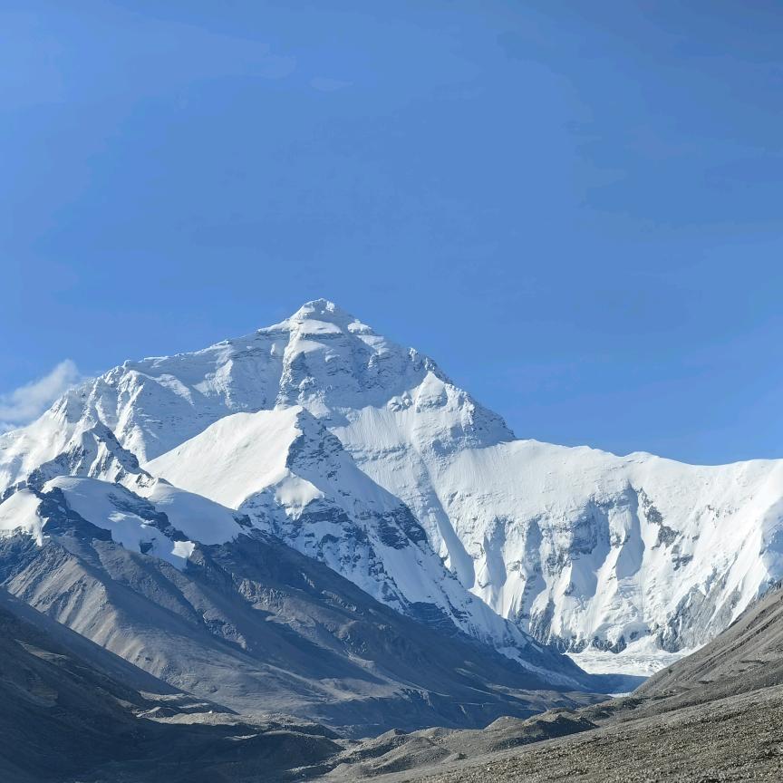 我的草原我的马