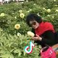 相逢