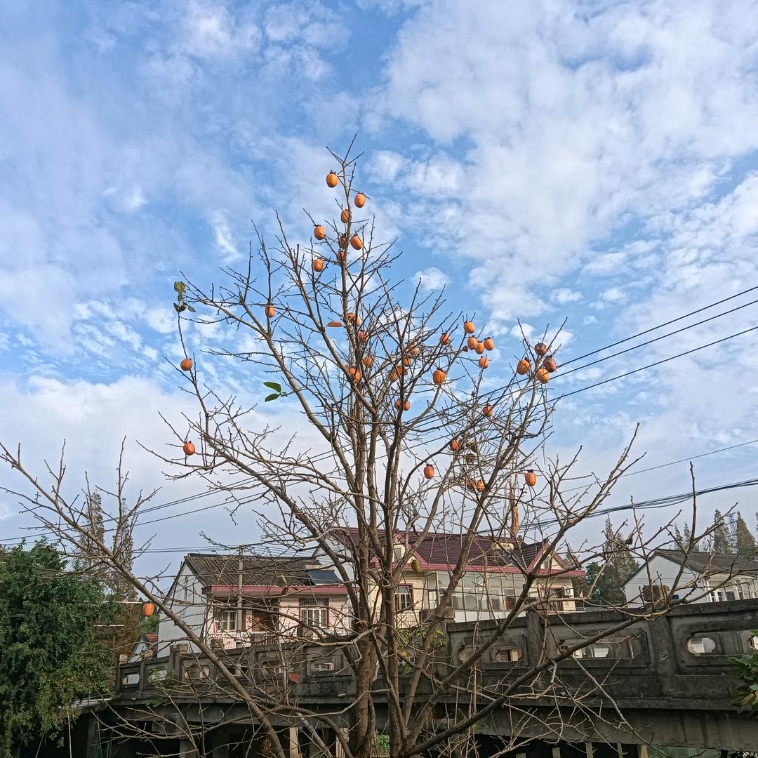 上海媛胜贸易有限公司