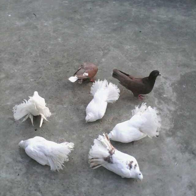 我心有你