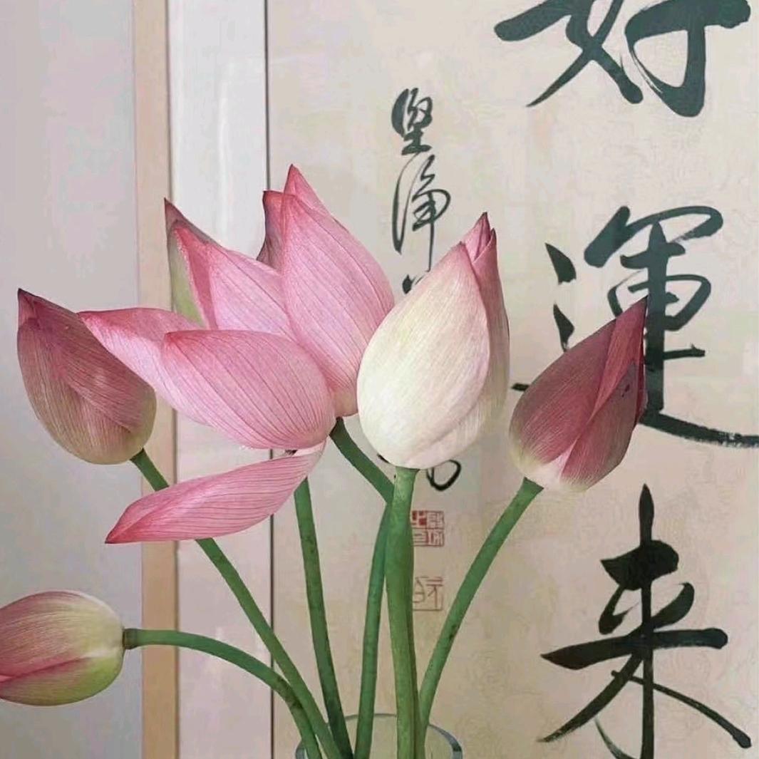 名扬伴读
