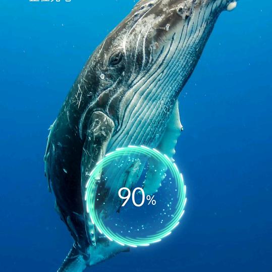 皓哥👉