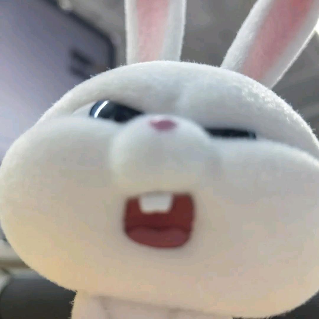 蕉蕉兔TwT