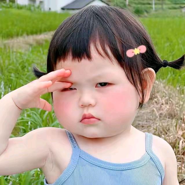 抚や琴