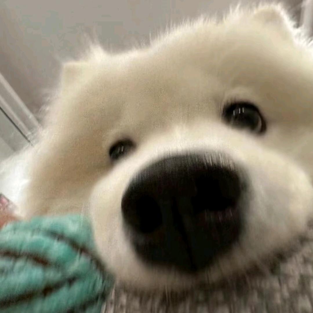 有乐