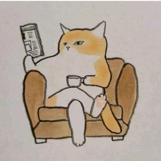 猫和旅
