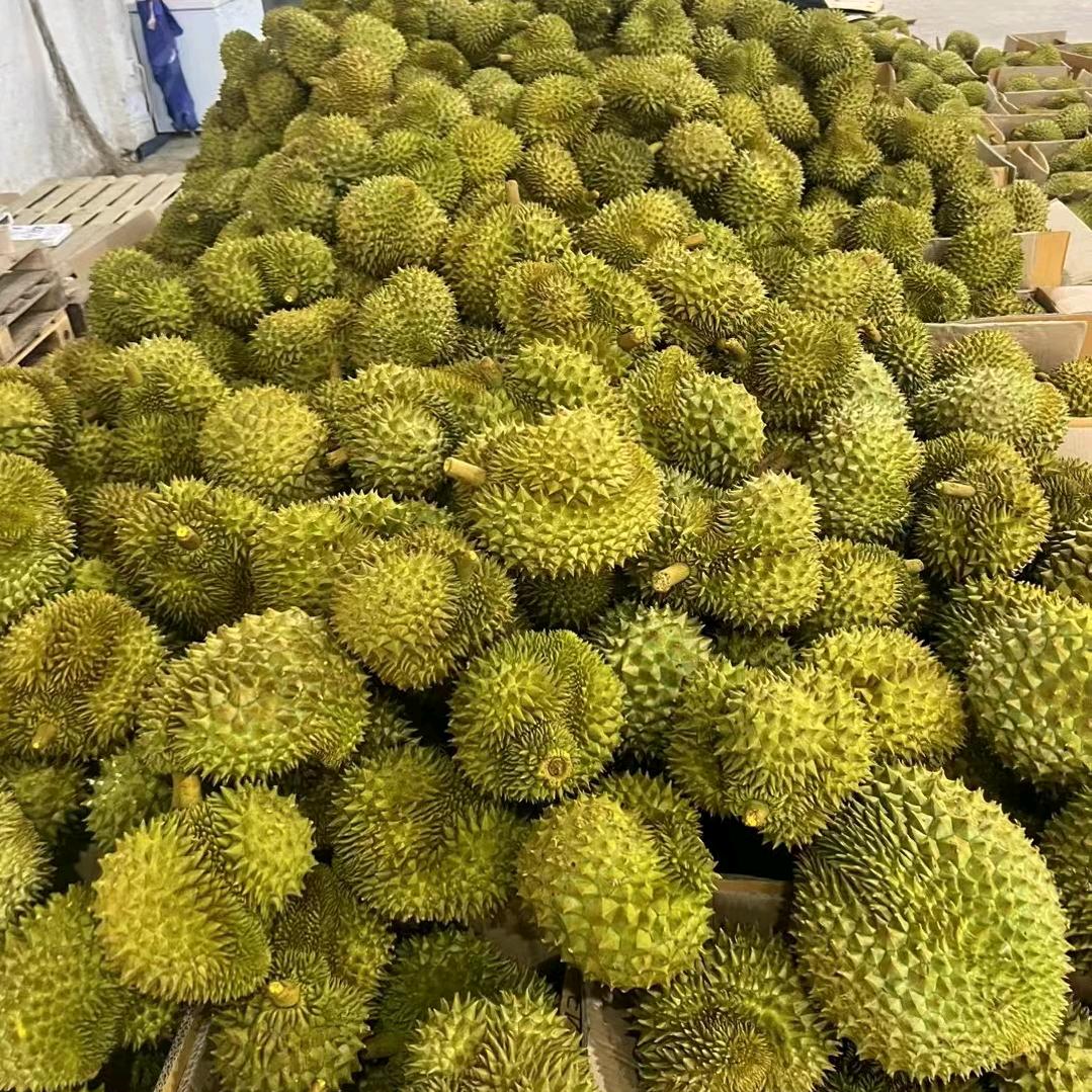 榴莲👑
