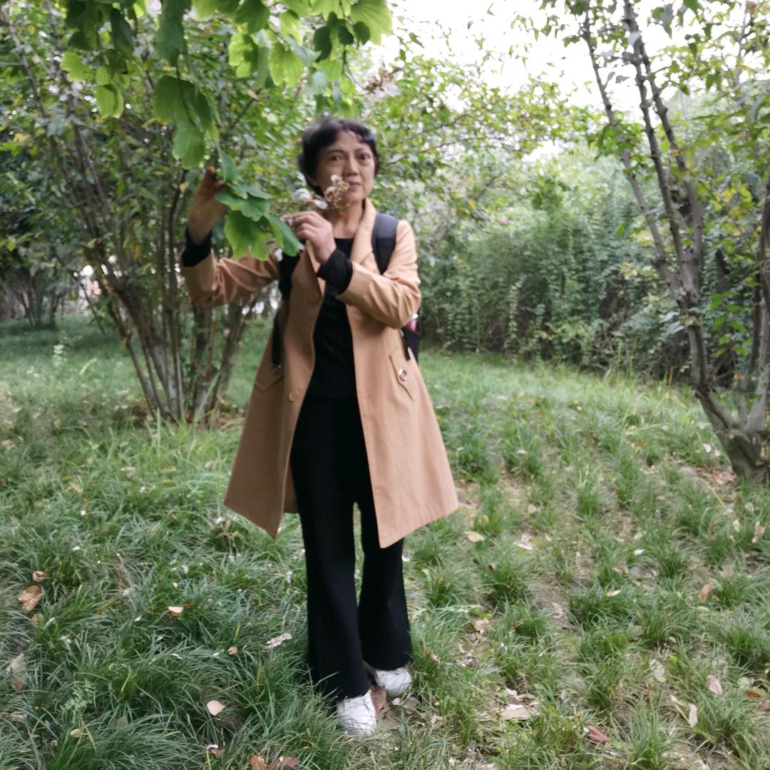 自由飞翔