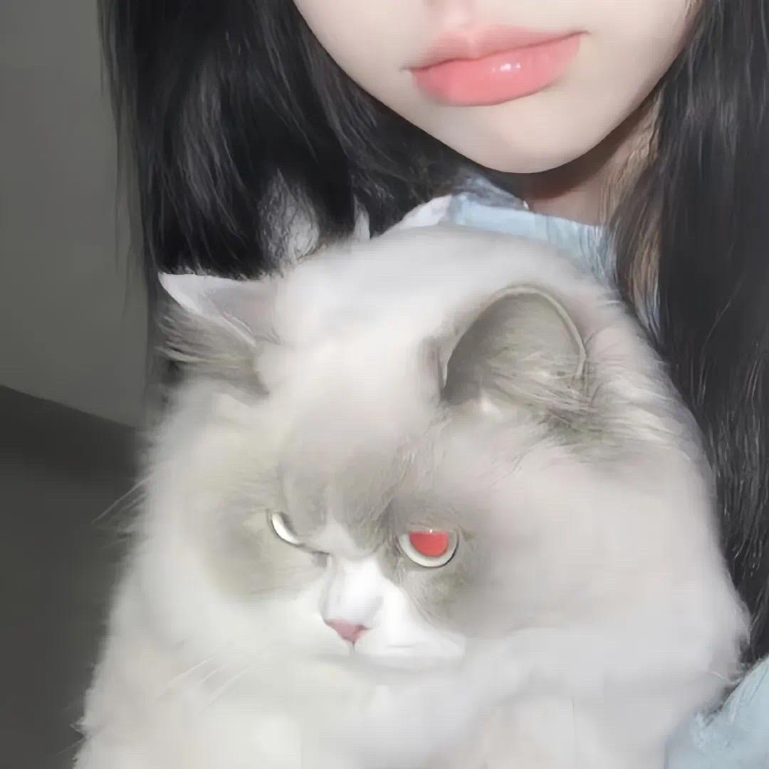 小🐑