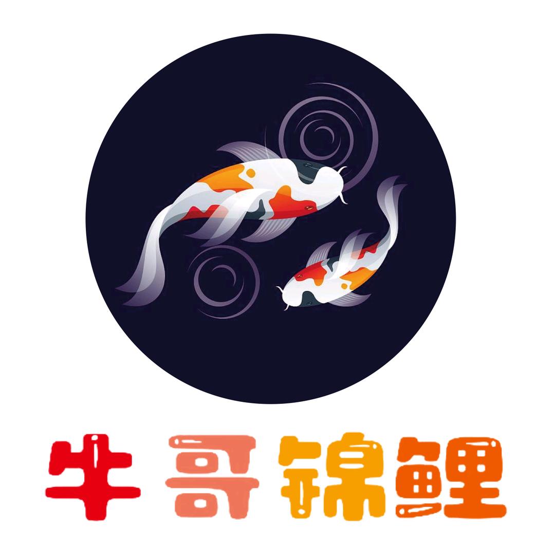 牛哥锦鲤