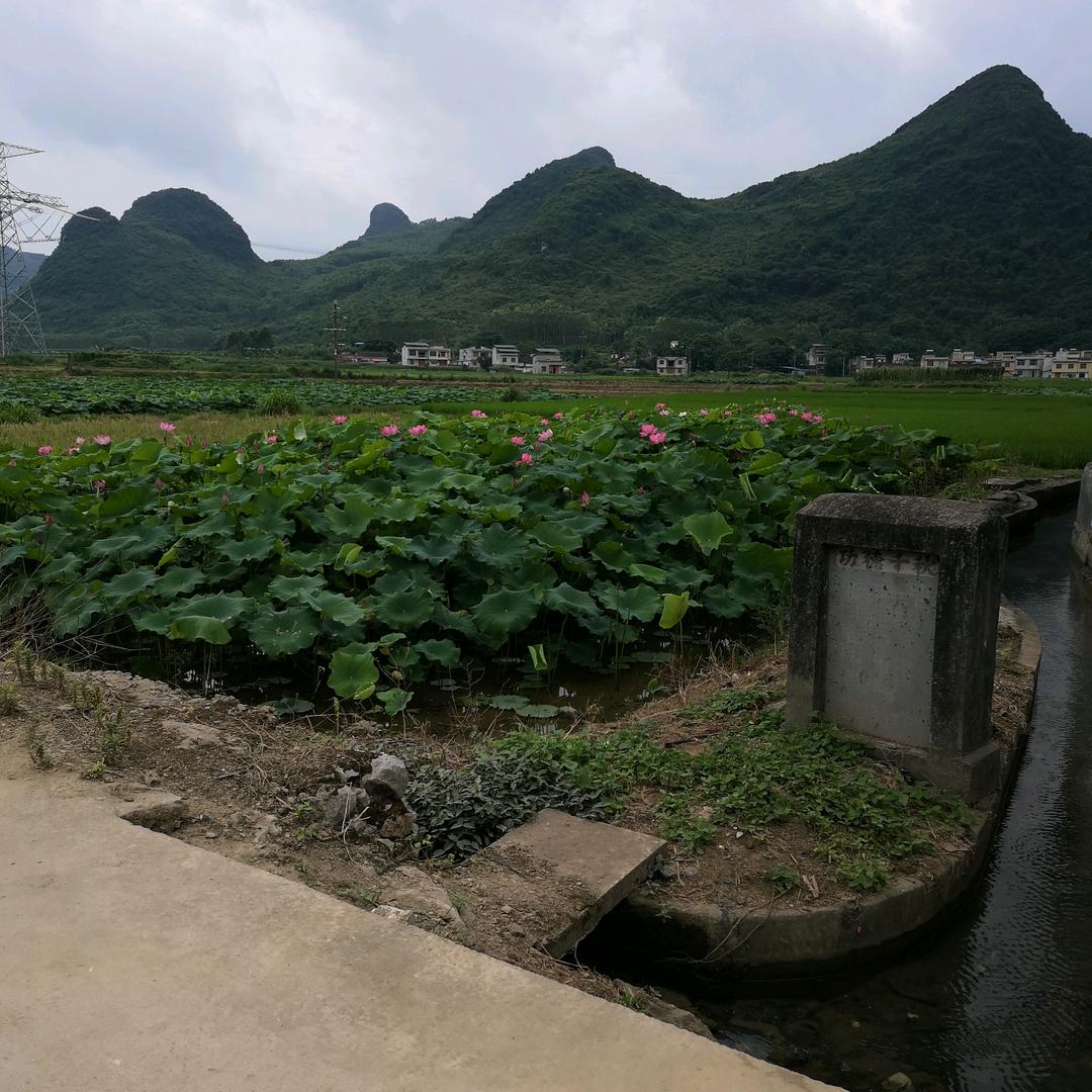 兄弟一条心