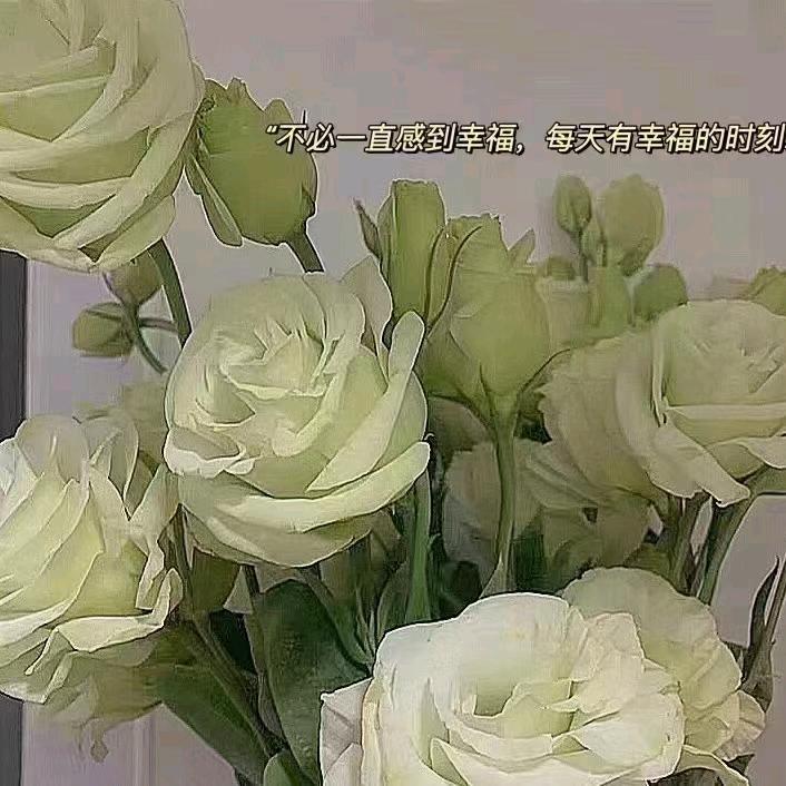 魅力女人阿红