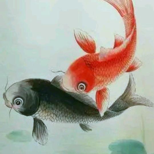流年碎影