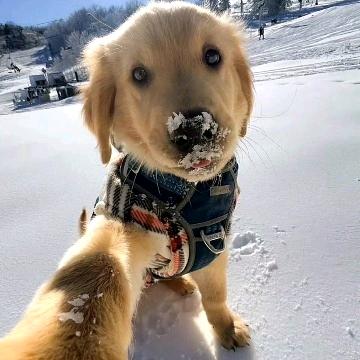 超雄犯了狂抽纯情M一不小心成为圈内顶级S