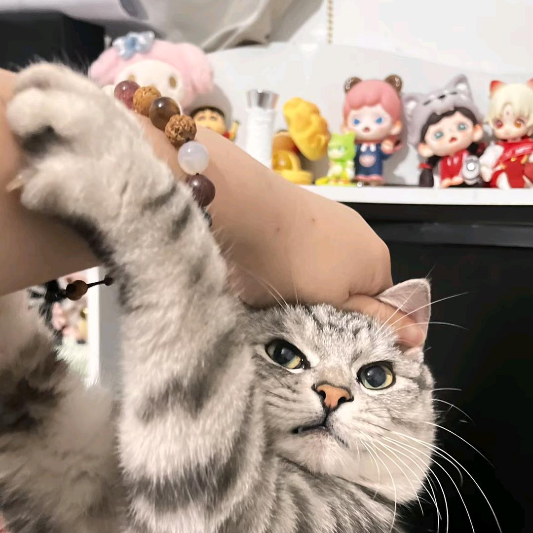 抄兴言编程