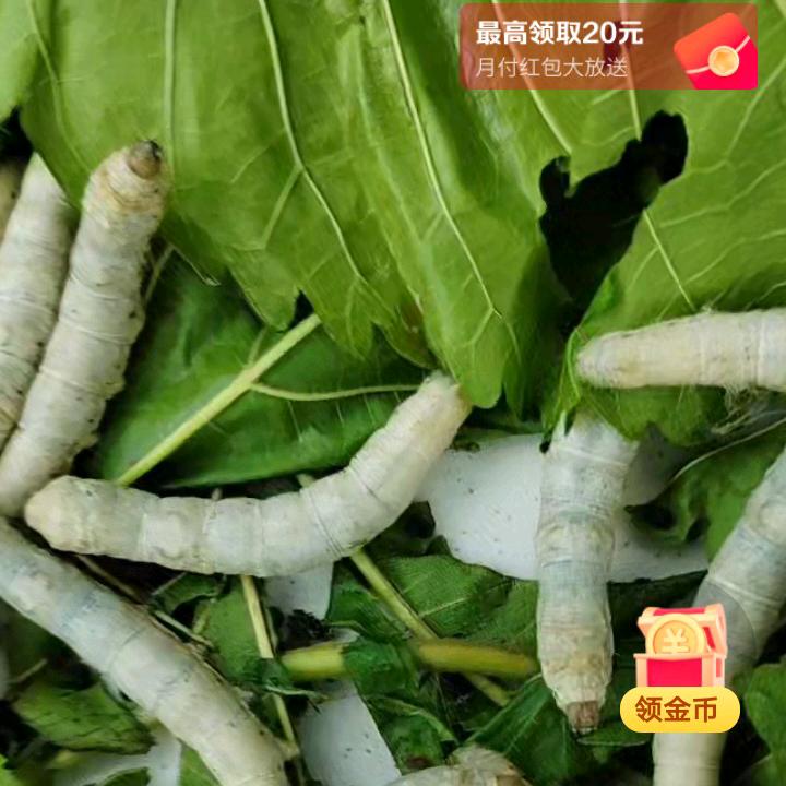 邝姐